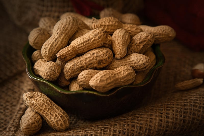 Quick Healthy Snacks